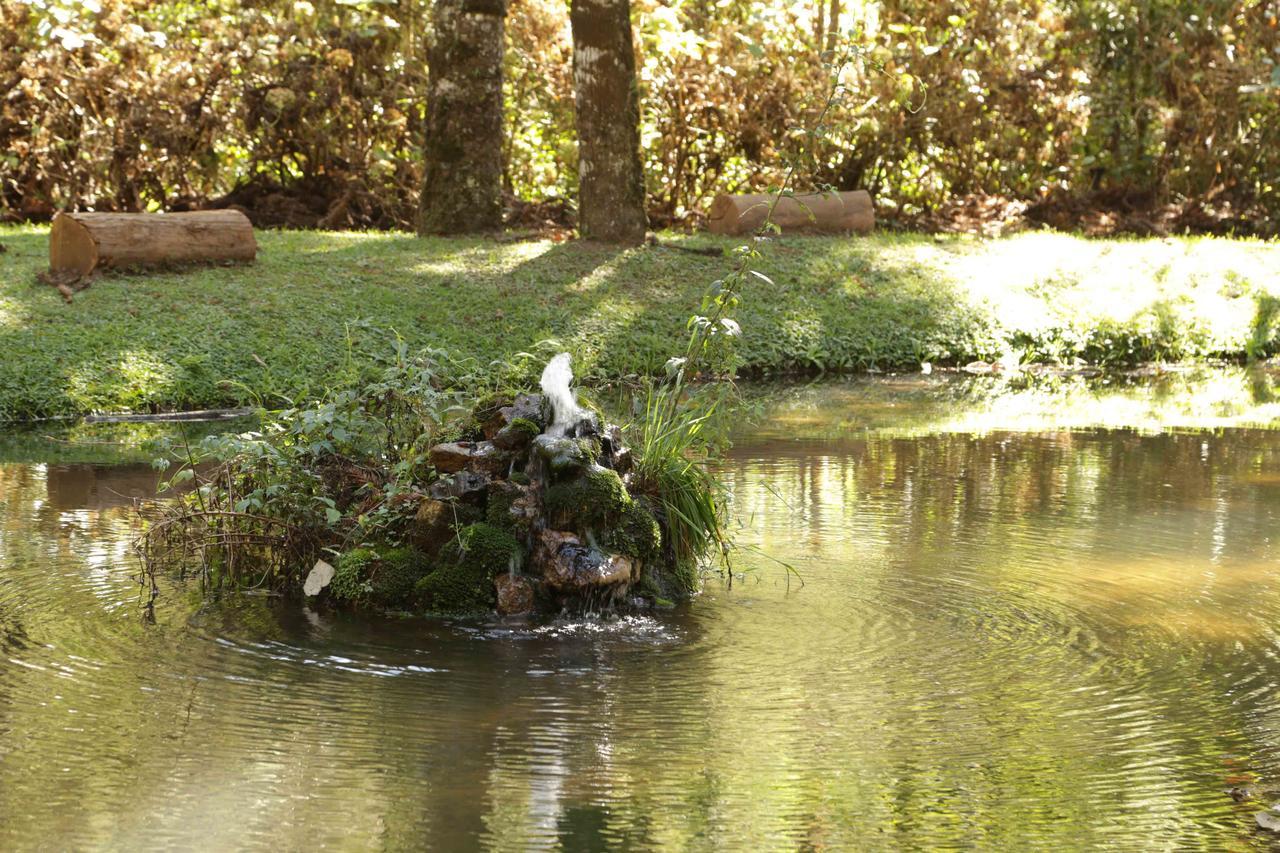 Campos Montreal * Campos do Jordão